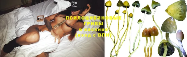 тгк Майский