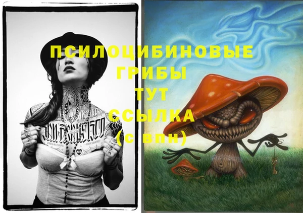 хмурый Магас