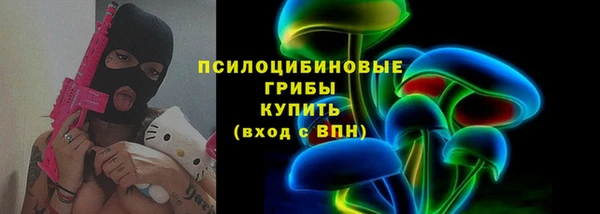 хмурый Магас