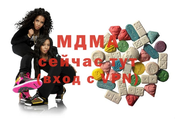 хмурый Магас